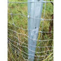 Wildzaunpfosten-eingeschlagen-Wald