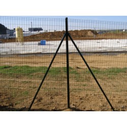 Gitterzaun Home grün